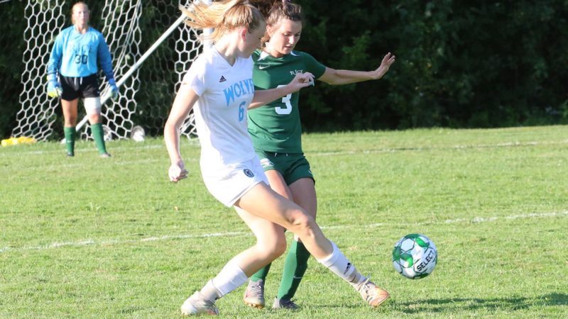 Varsity essays password 06 picture